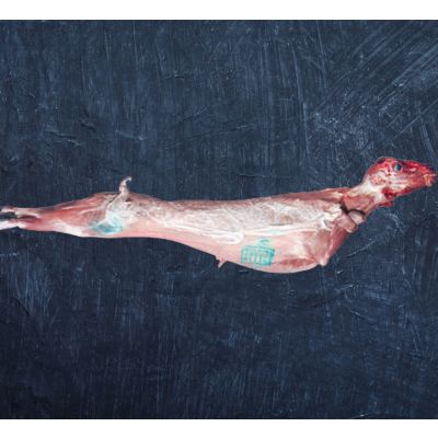 Κατσικάκι γάλακτος ολόκληρο