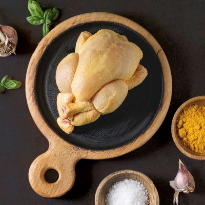 Κοτόπουλο Ναυπάκτου Κοντοχρήστος