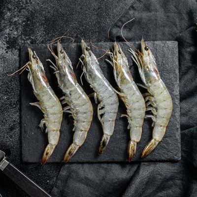 Γαρίδες Νο1 κτψ.