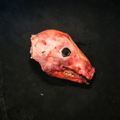 Κεφαλάκι αρνί/κατσίκι