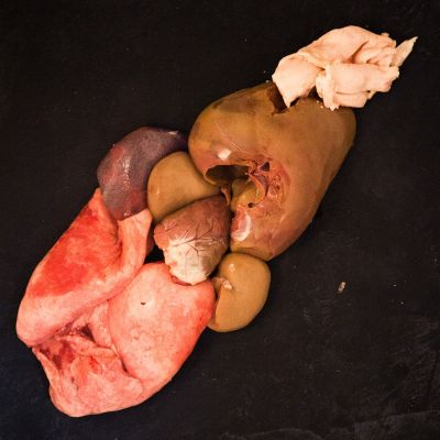 Αρνίσια συκωταριά